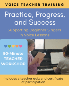 Voice Teacher Training: Practice, Progress, and Success. Supporting Beginner Singers in Voice Lessons.
